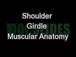 Shoulder Girdle Muscular Anatomy