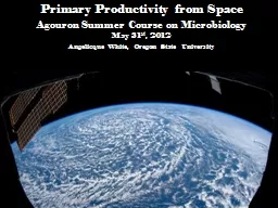 Primary Productivity from Space