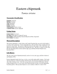 Eastern c hipmunk Tamias striatus Taxo nomic Classific
