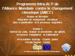 Programme Intra-ACP de