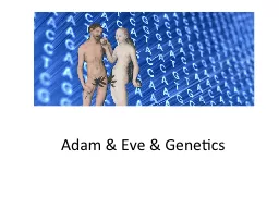Adam & Eve & Genetics