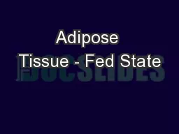Adipose Tissue - Fed State