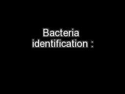 Bacteria identification :