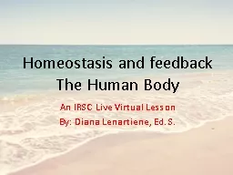 Homeostasis and feedback