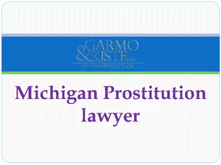 Michigan Prostitution lawyer