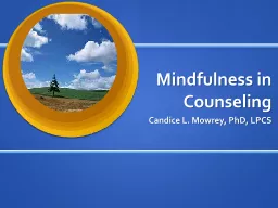 Mindfulness in Counseling