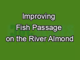 Improving Fish Passage on the River Almond