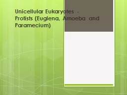 Unicellular Eukaryotes -
