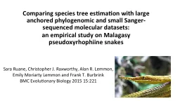 Comparing species tree estimation with large anchored