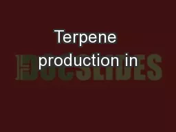 Terpene production in