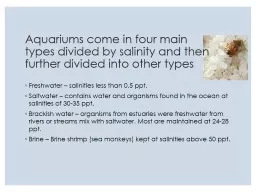 Aquariums come in four main types divided by salinity and t