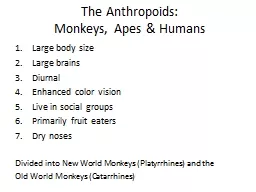 The Anthropoids: