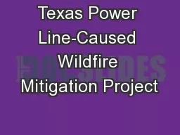 Texas Power Line-Caused Wildfire Mitigation Project