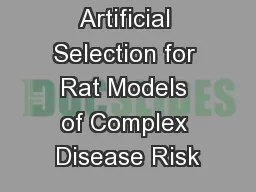 Artificial Selection for Rat Models of Complex Disease Risk
