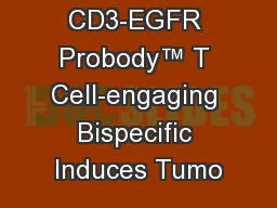 CD3-EGFR Probody™ T Cell-engaging Bispecific Induces Tumo