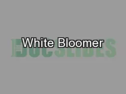 White Bloomer