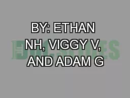 BY: ETHAN NH, VIGGY V, AND ADAM G