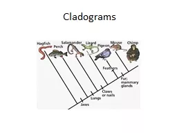 Cladograms
