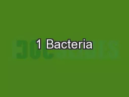 1 Bacteria