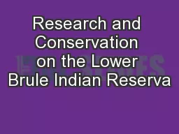 Research and Conservation on the Lower Brule Indian Reserva