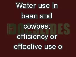 Water use in bean and cowpea: efficiency or effective use o