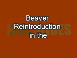 Beaver Reintroduction in the