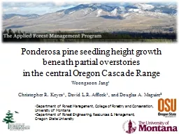 Ponderosa pine seedling height growth beneath partial