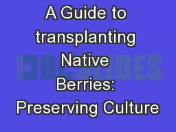 A Guide to transplanting Native Berries: Preserving Culture