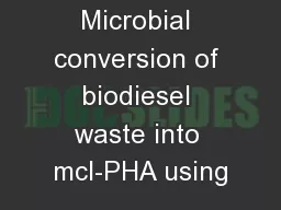 Microbial conversion of biodiesel waste into mcl-PHA using