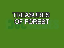 TREASURES OF FOREST