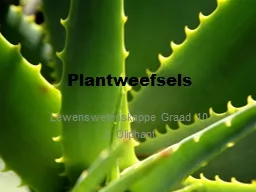 Plantweefsels