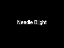 Needle Blight
