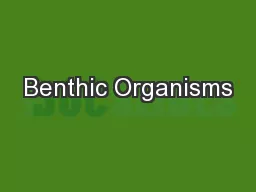 Benthic Organisms