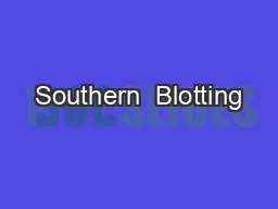 Southern  Blotting