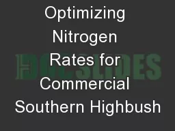 Optimizing Nitrogen Rates for Commercial Southern Highbush
