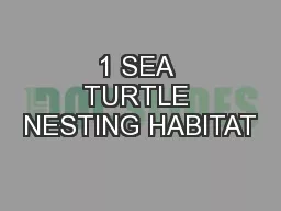 1 SEA TURTLE NESTING HABITAT
