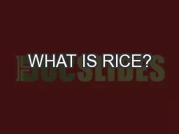 WHAT IS RICE?