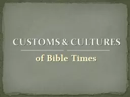 of Bible Times