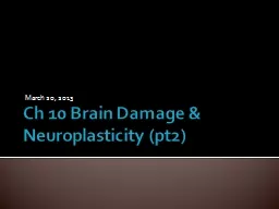 Ch 10 Brain Damage &
