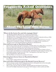 Frequently Asked Questions about the local wild horse