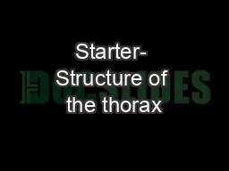 Starter- Structure of the thorax