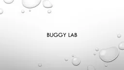 Buggy Lab