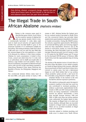 The illegal trade in south African Abatone