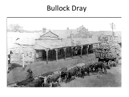 Bullock Dray
