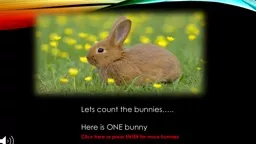 Lets count the bunnies