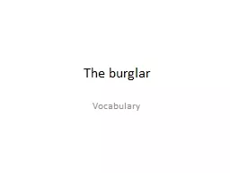 The burglar