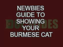 NEWBIES GUIDE TO SHOWING YOUR BURMESE CAT