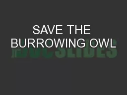 SAVE THE BURROWING OWL