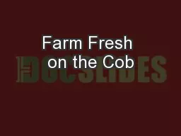 Farm Fresh on the Cob