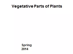 Vegetative Parts of Plants